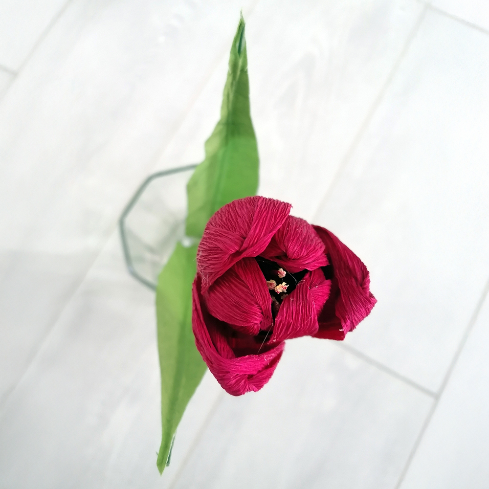 Flower bloom tulipano rosso - immagine 2