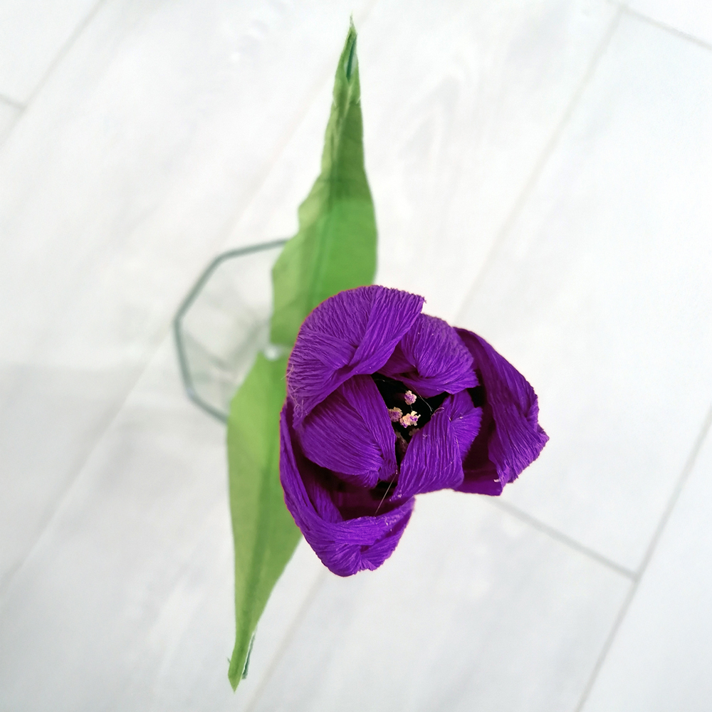 Flower bloom tulipano viola - immagine 2