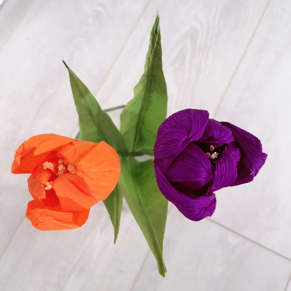 Flower bloom tulipano arancio - immagine 5
