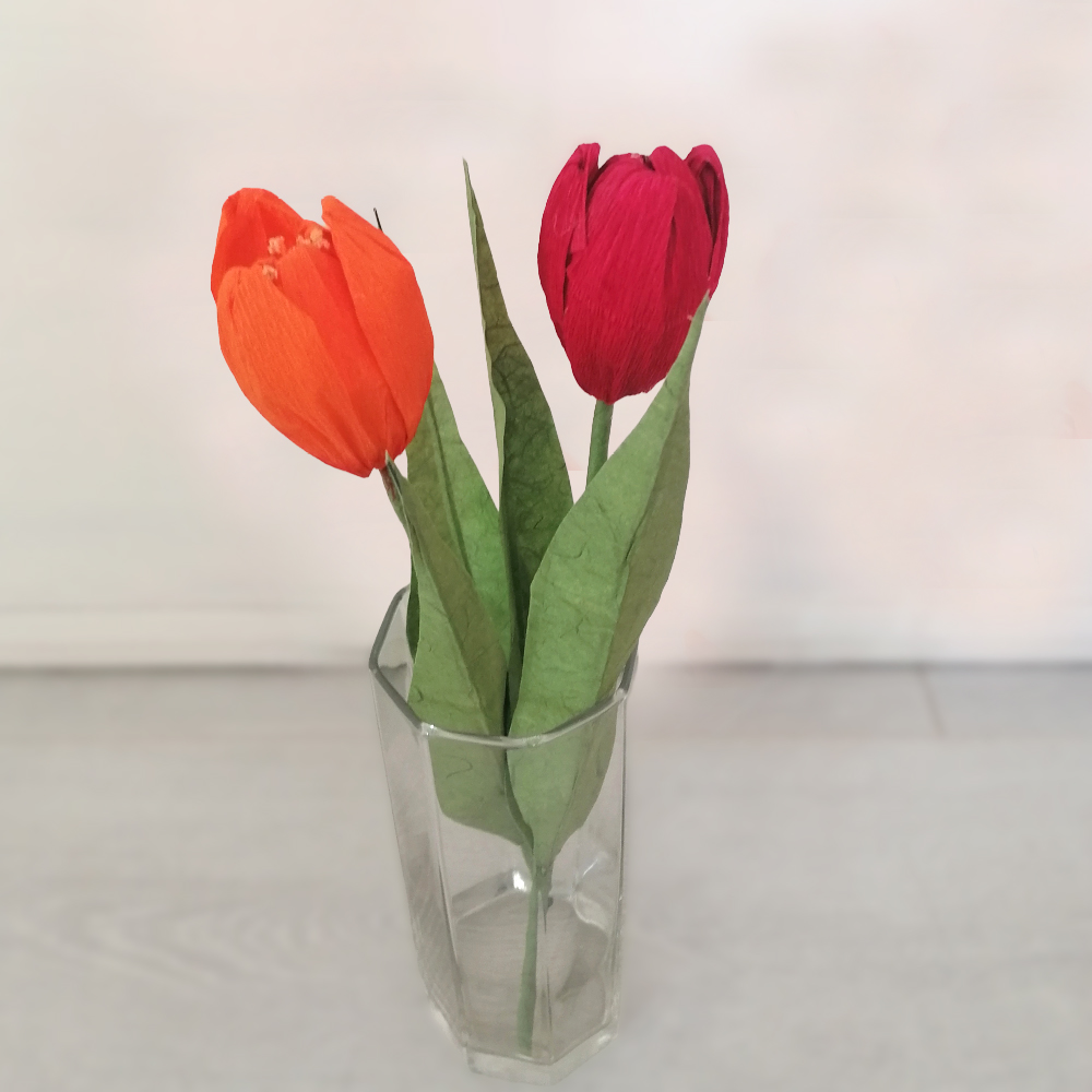 Flower bloom tulipano rosso - immagine 4