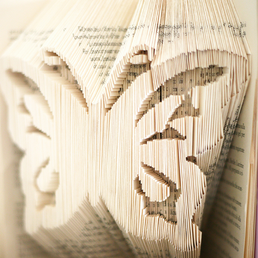 Re-book Volare - immagine 3